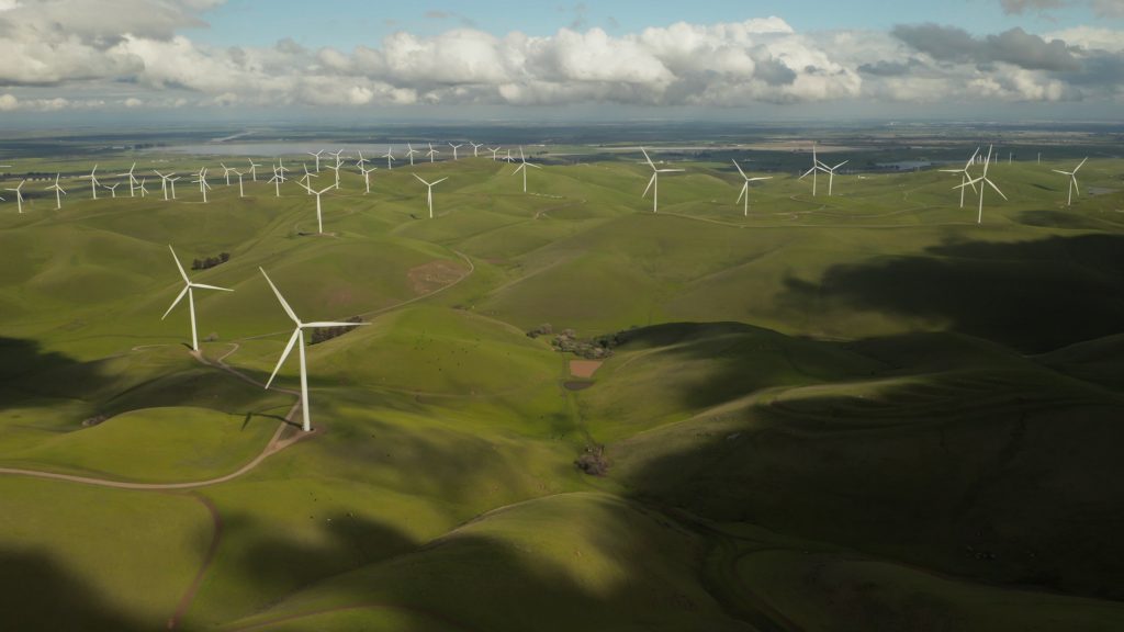 champ d'éoliennes